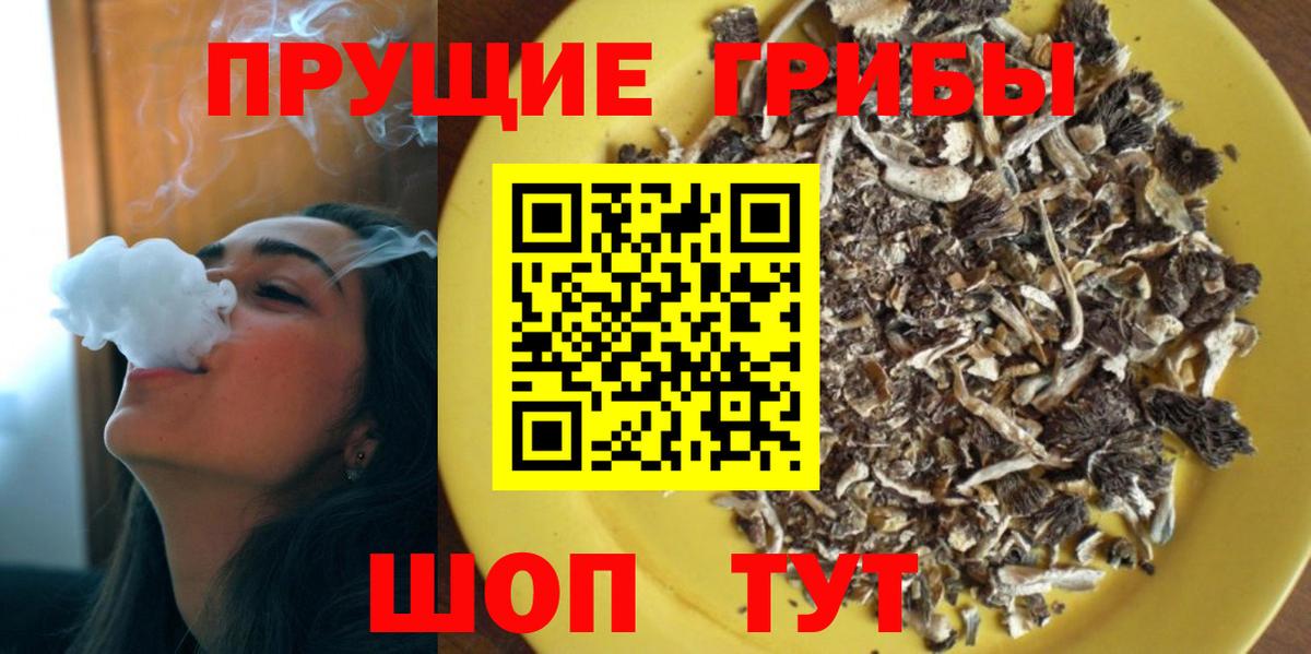 Псилоцибиновые грибы MAGIC MUSHROOMS  Вход с VPN  Баксан 