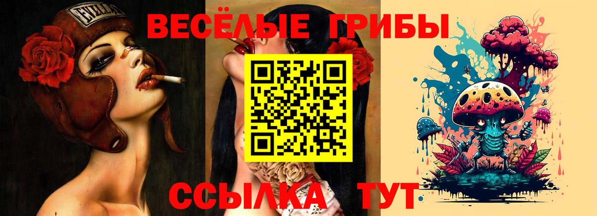 Галлюциногенные грибы Magic Shrooms Баксан